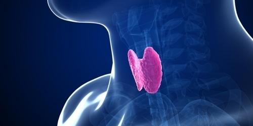 thyroid demylination