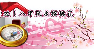 cn 8fontheart a01