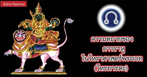 Rahu in Vedic Astrology